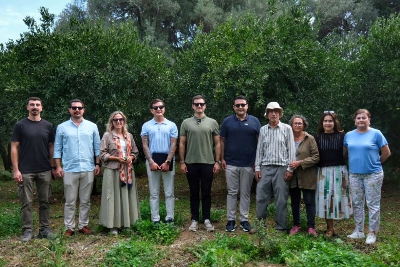 Bodrum’da Mandalin Üreticisine 5 Milyon TL’lik Destek 6